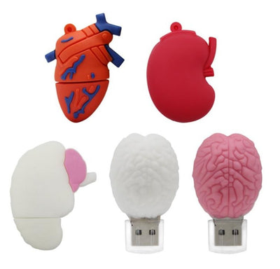 Cartoon Human Organs USB Flash Drive Lung Heart Stomach Brain Doctor pendrive 64gb usb flash drives memoria usb stick pen drive